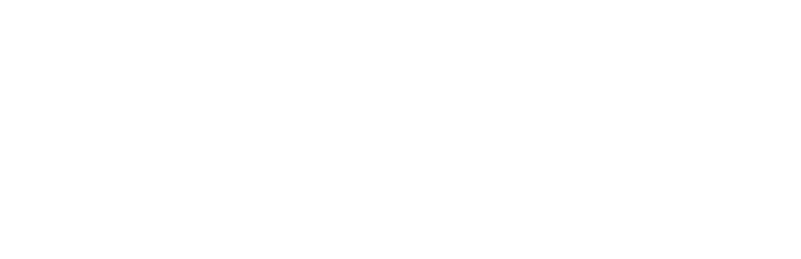 Eleks negative logo