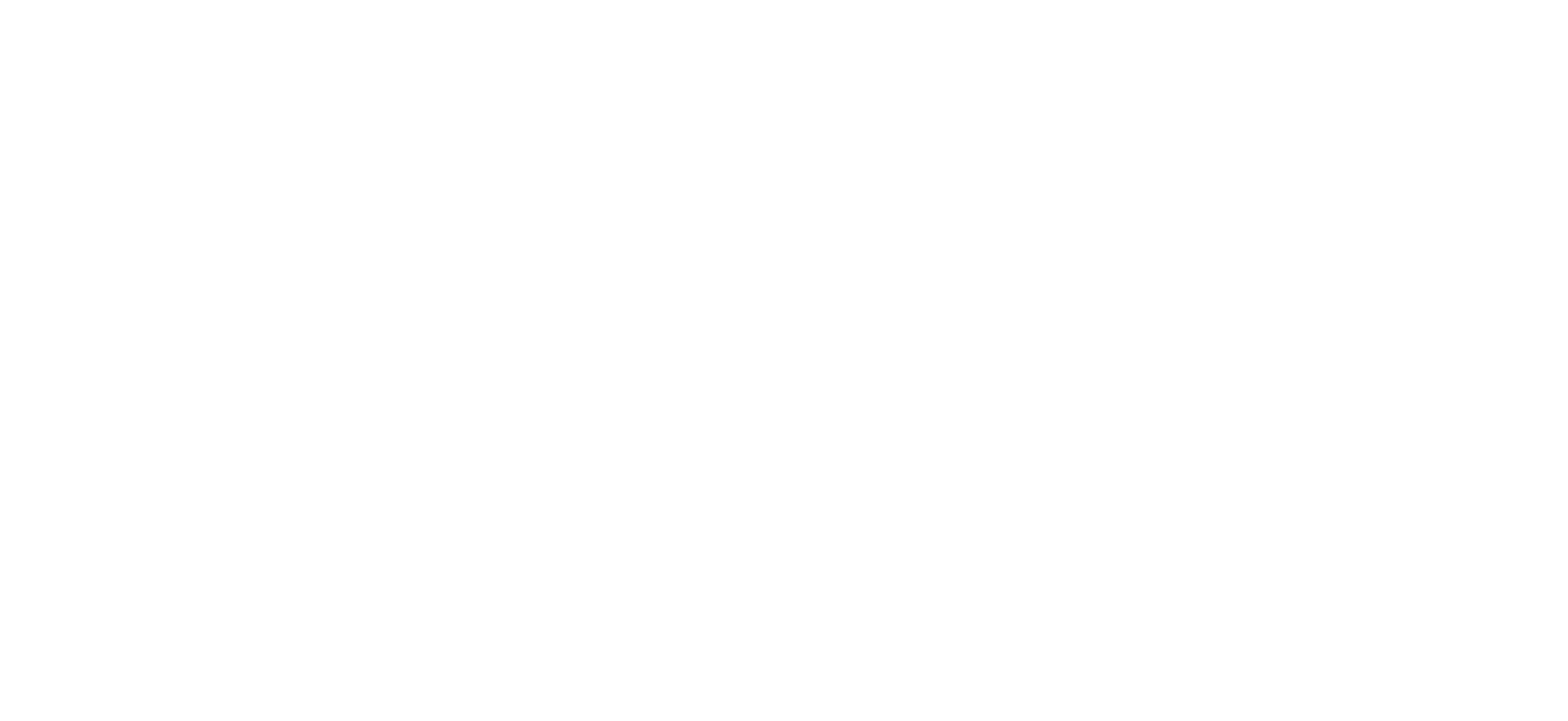 TBS negative logo