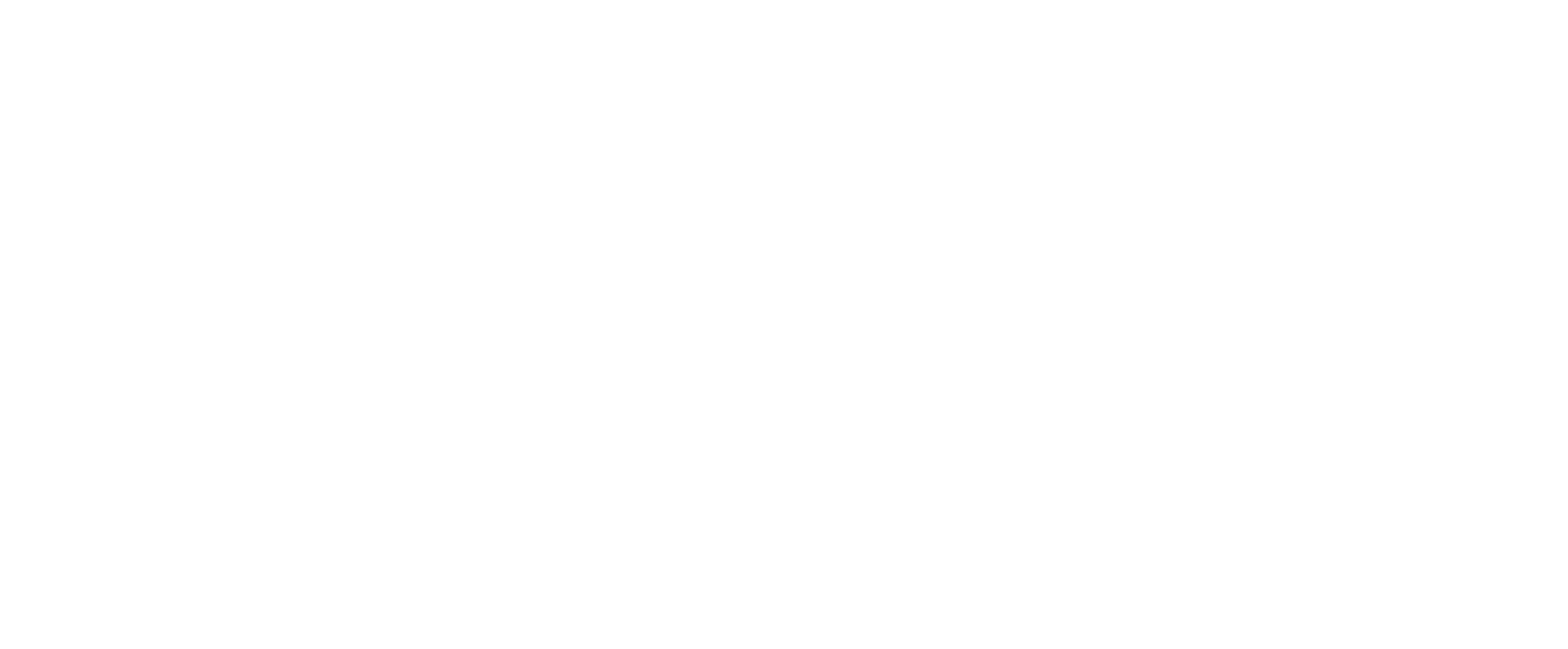 Softnet logo
